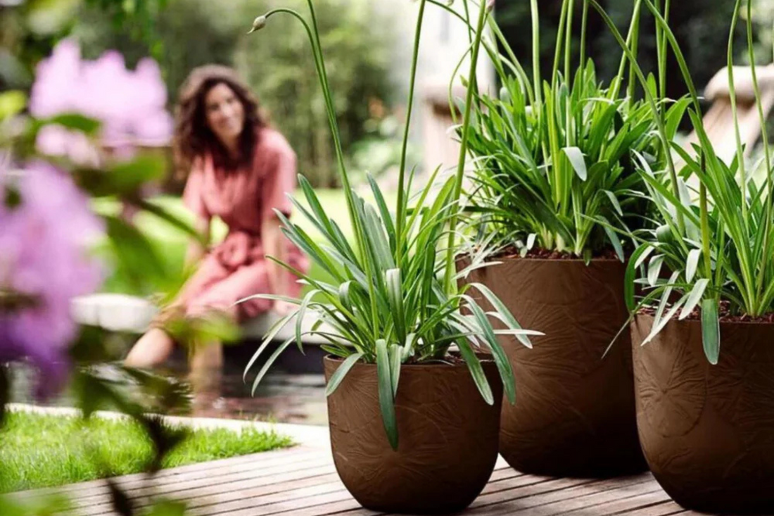 Alles om jouw tuin mee te decoreren!